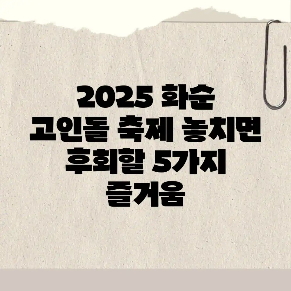 2025 화순 고인돌 축제: 놓치면 후회할 5가지 즐거움