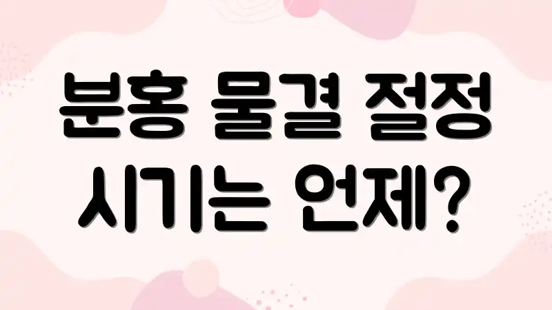 분홍 물결 절정 시기는 언제?